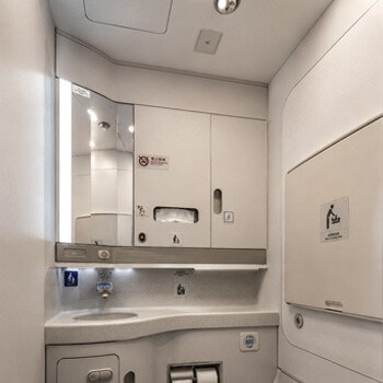 Aircraft Lavatory Interior Panels